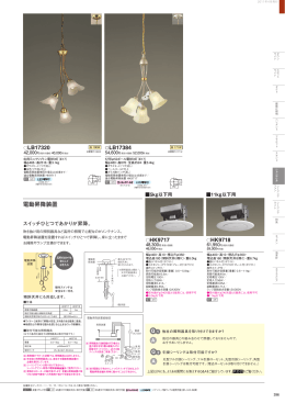 電動昇降装置