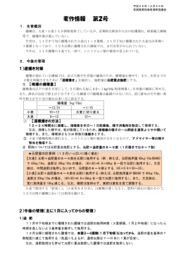 麦作情報 第2号