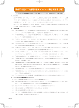 ダブル発電応援キャンペーン規約（PDF形式）