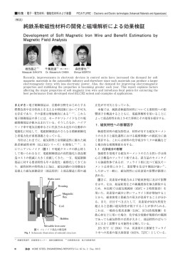純鉄系軟磁性材料の開発と磁場解析による効果検証