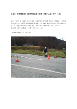 糸魚川－静岡構造線で地震断層の出現を確認（白馬村大出）2014.11.23