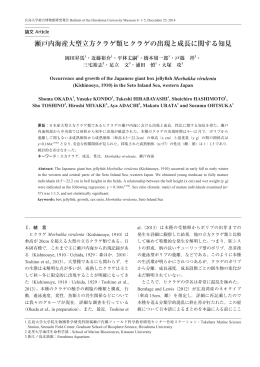 瀬戸内海産大型立方クラゲ類ヒクラゲの出現と成長に関する知見