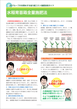 水稲育苗箱全量施肥法