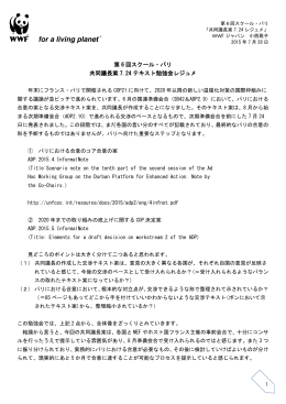 共同議長案7.24テキスト勉強会レジュメ