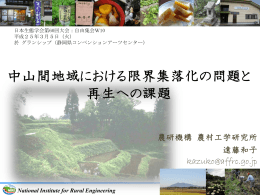 中山間地域における限界集落化の問題と 再生への課題