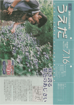 誇るのあじさい