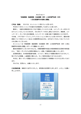 武装解除・動員解除・社会復帰（DDR）と治安部門