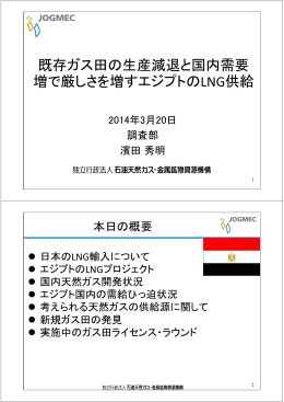 既存ガス田の生産減退と国内需要 増で厳しさを増すエジプトのLNG供給