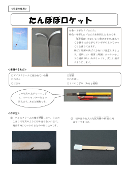 たんぽぽロケット（PDF）