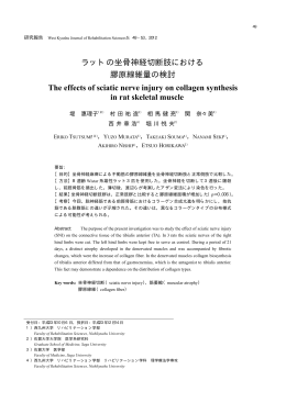 ラットの坐骨神経切断肢における 膠原線維量の検討 The