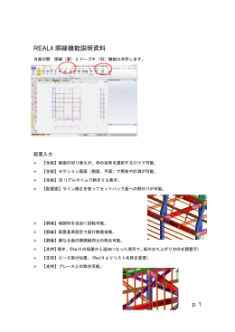 REAL4 胴縁機能説明資料