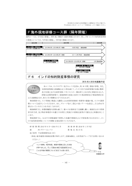 F海外現地研修コース群（隔年開催）