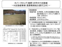 カバークロップ（緑肥）の作付けの取組 －K氏取組事例（長野県南佐久
