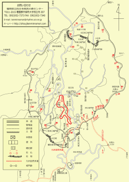 PDFでのダウンロードはこちら