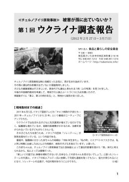 第1回ウクライナ調査報告