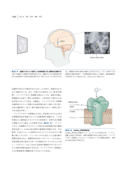 反動性不安などの悪化がみられる）ことがあり，投薬を中止す ると不眠が