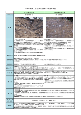 パワーネット工法とクモの巣ネット工法の特長