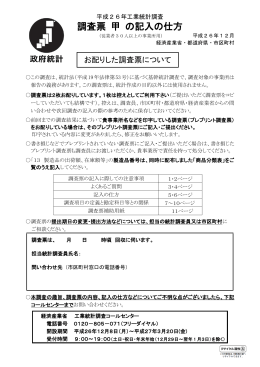 調査票 甲 の記入の仕方