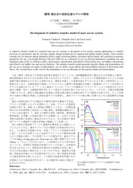 積雪-海氷系の放射伝達モデルの開発 Development of radiative