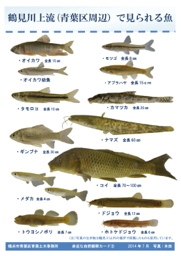 PDFファイル：360KB