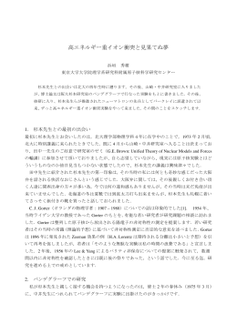 高エネルギー重イオン衝突と見果てぬ夢