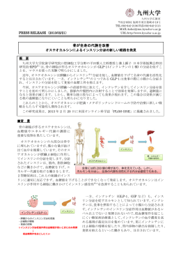 骨が全身の代謝を改善(2013/02/21)