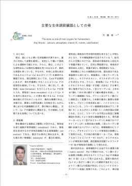 主要な生体調節臓器としての骨