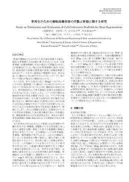 骨再生のための細胞培養担体の作製と評価に関する研究