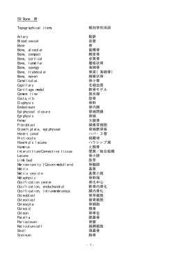 59 Bone 骨 Topographical items 解剖学的用語 Artery 動脈 Blood