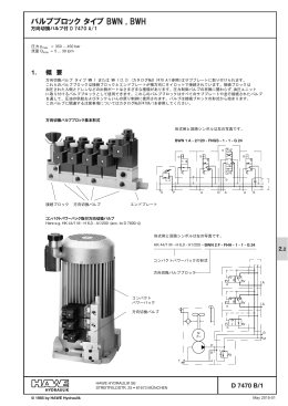 バルブブロック タイプ BWN , BWH