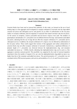 鉄鋼スラグの添加による藻場ブロックの性能向上と