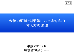 今後の河川・湖沼等における対応の 考え方の整理