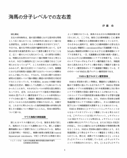 海馬の分子レベルでの左右差