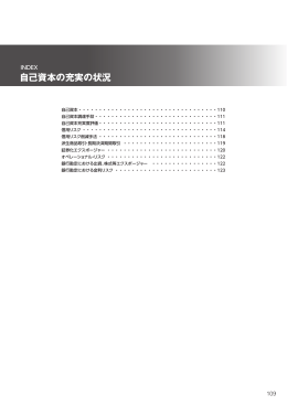 自己資本の充実の状況 (PDF/469KB)