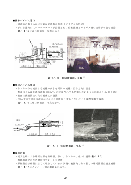 46 排砂バイパス呑口 ・掃流砂の取り込みに有効な底部取水方式