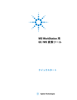 MS WorkStation 用 GC/MS 変換ツール