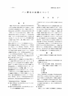 パン酵母の核酸について