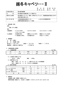 H17-越冬キャベツⅡ
