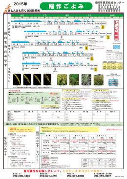稲作ごよみ - JA福岡市東部