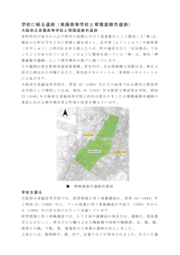 堺環濠都市遺跡 [PDFファイル／1024KB]