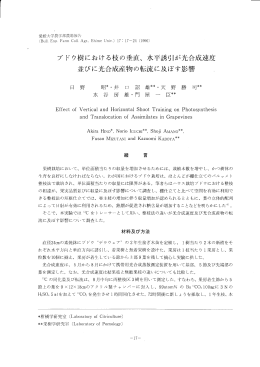 フ〝 ドウ樹における枝の垂直、 水平誘引が光合成速度 並びに光合成