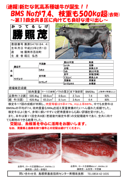 勝照茂
