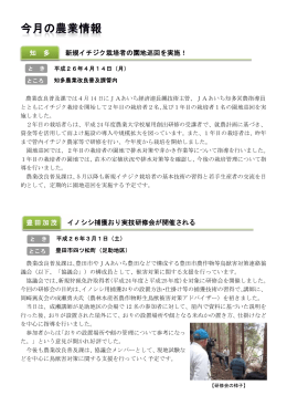 知 多 豊田加茂 新規 イノ 茂 規イチジク ノシシ捕獲 ク栽培者の