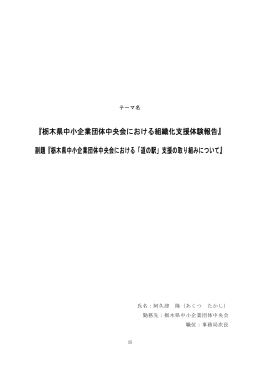 『栃木県中小企業団体中央会における組織化支援体験