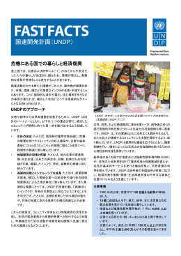 国連開発計画（UNDP）