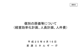 個別の原価等について （経営効率化計画、人員計画、人件