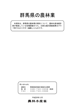 群馬県（PDF：2091KB）