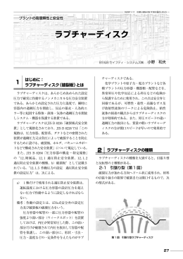 ラプチャーディスク - BS&B Safety Systems