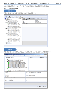 Standard RAID - RAID6仮想ディスクを使用したデータ復旧方法 page 1