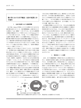 微小系における分子輸送：生命の起源と分 子操作